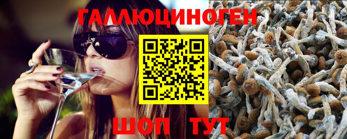 Галлюциногенные грибы Magic Shrooms Ревда