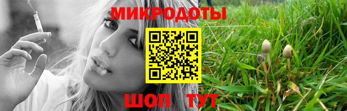 Галлюциногенные грибы Cubensis  Псилоцибиновые грибы мицелий  Ревда  Вход с VPN 